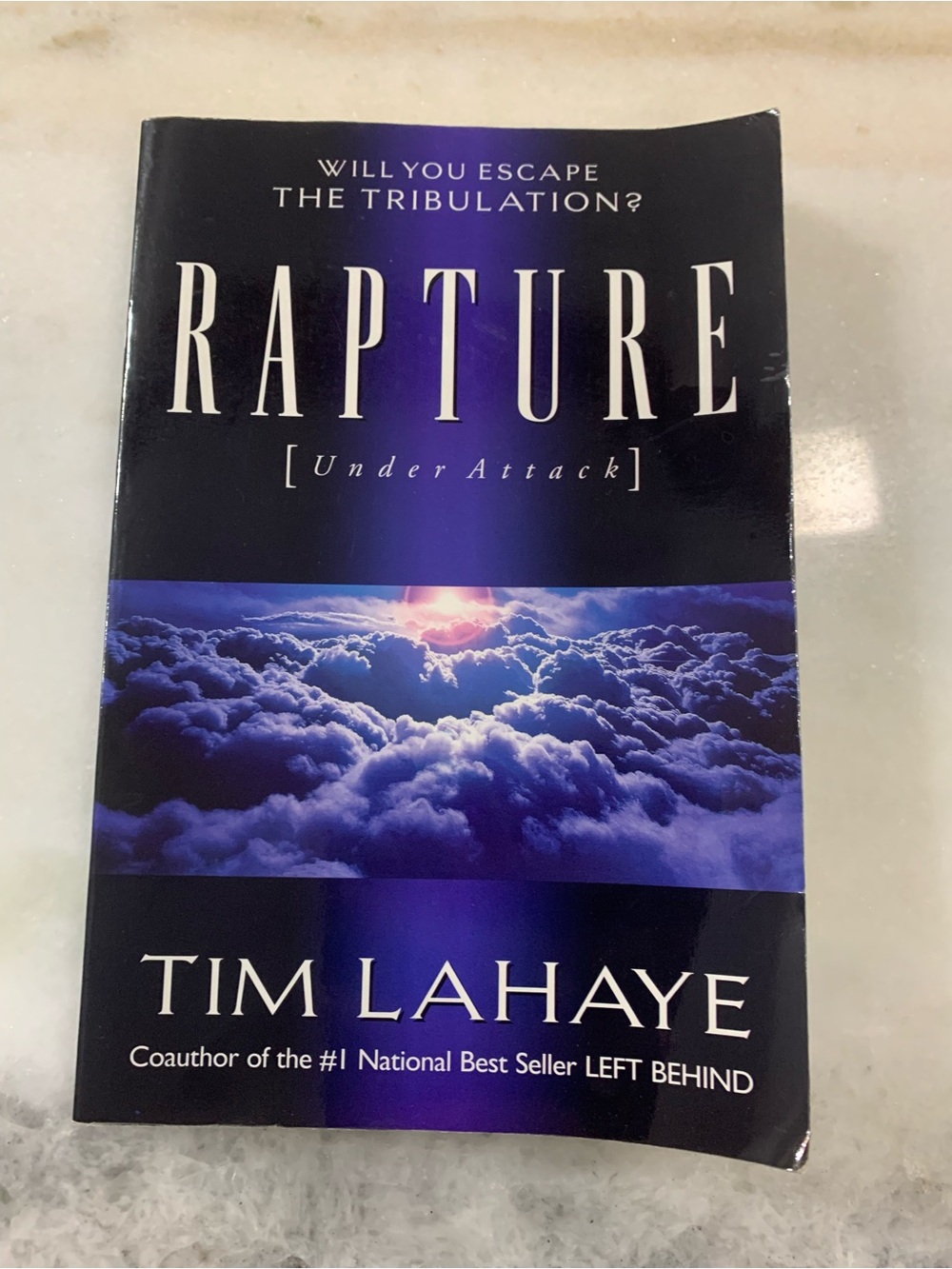 Rapture book